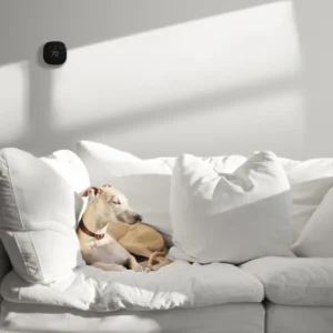 ecobee enhanced